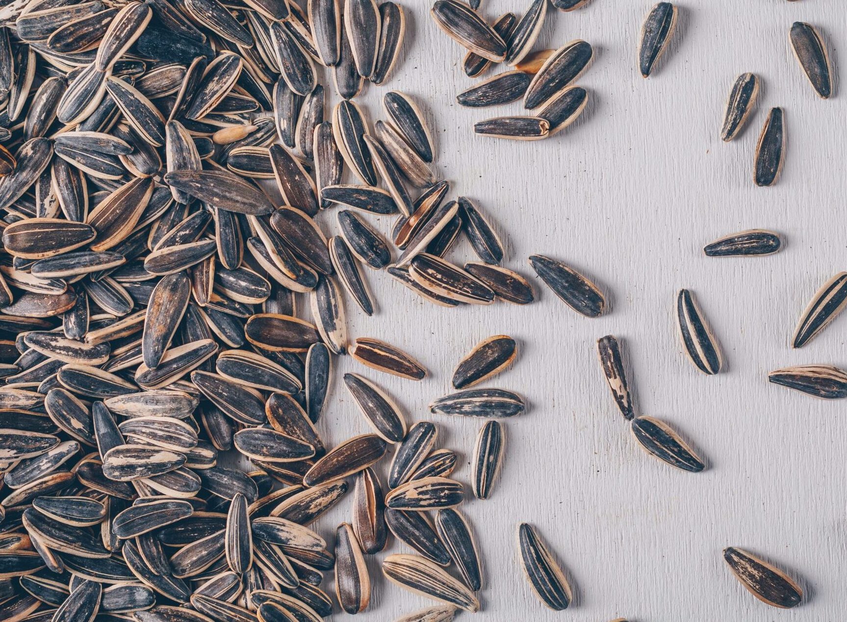 Sunflower seed oil