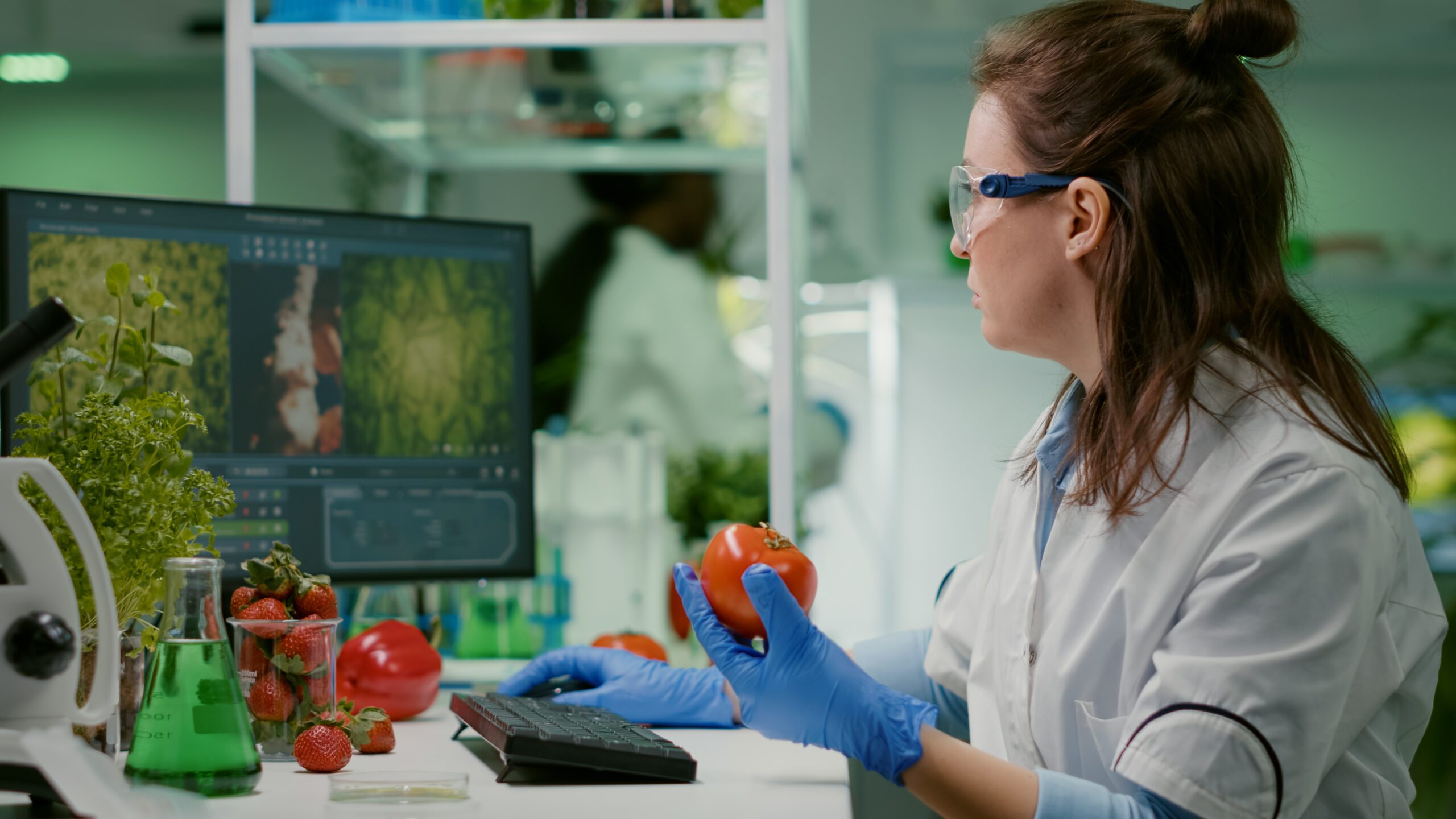 sustainable manufacturing in food industry