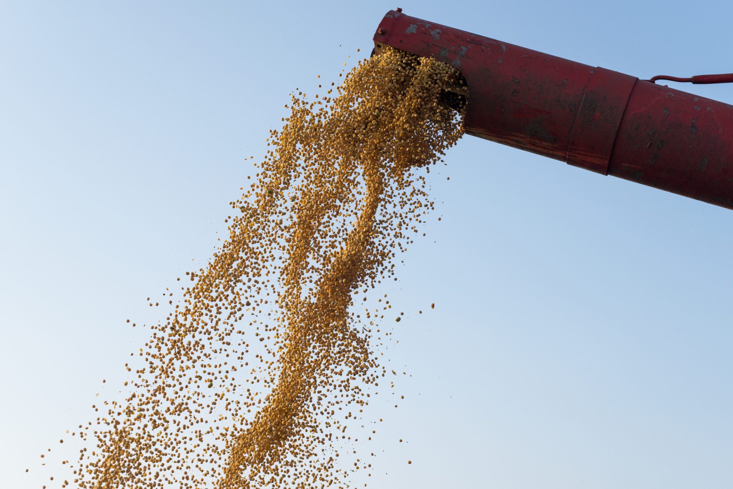 A Deeper Look Into the STET Separator